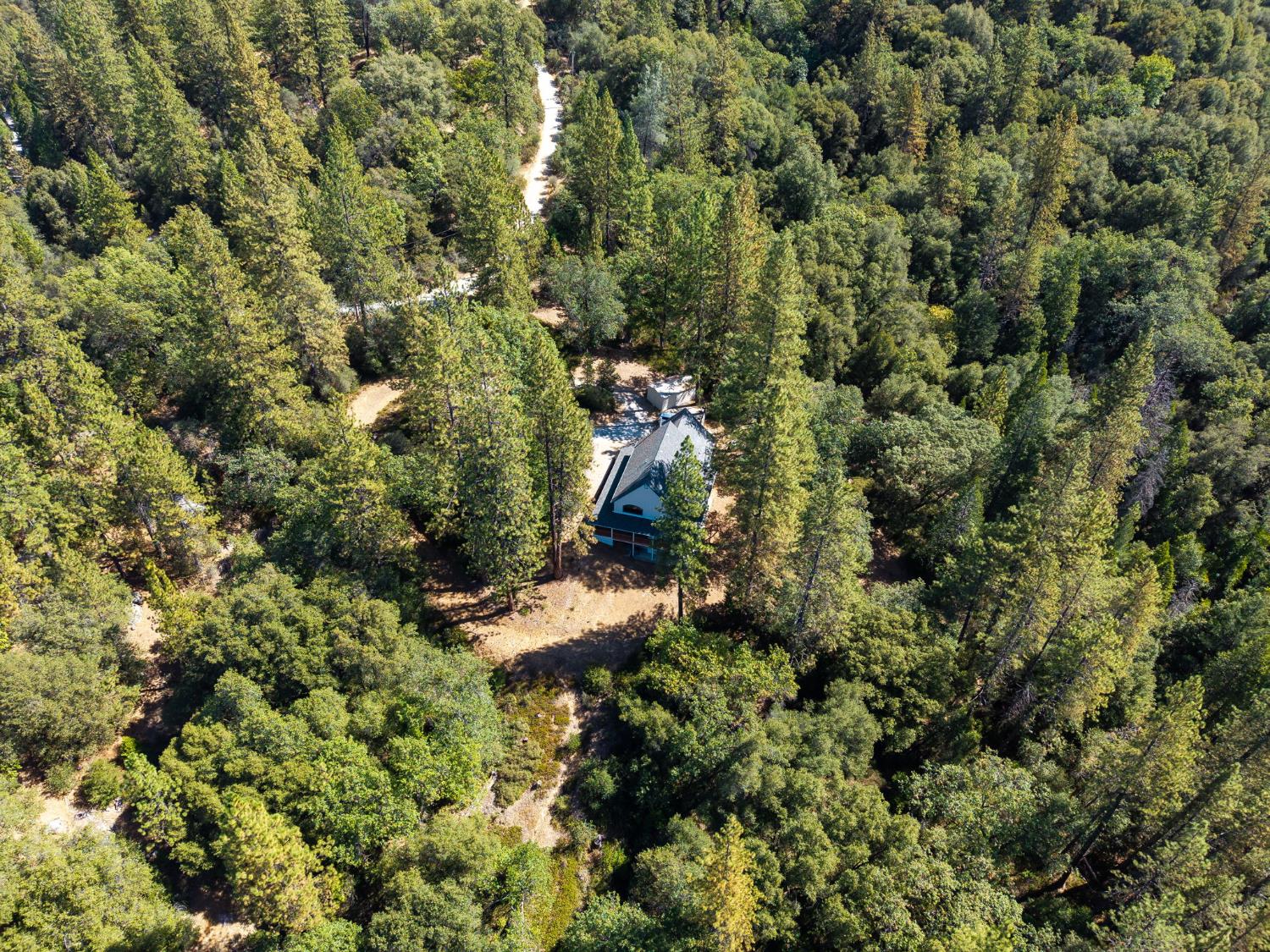 8161 Boondock Trail