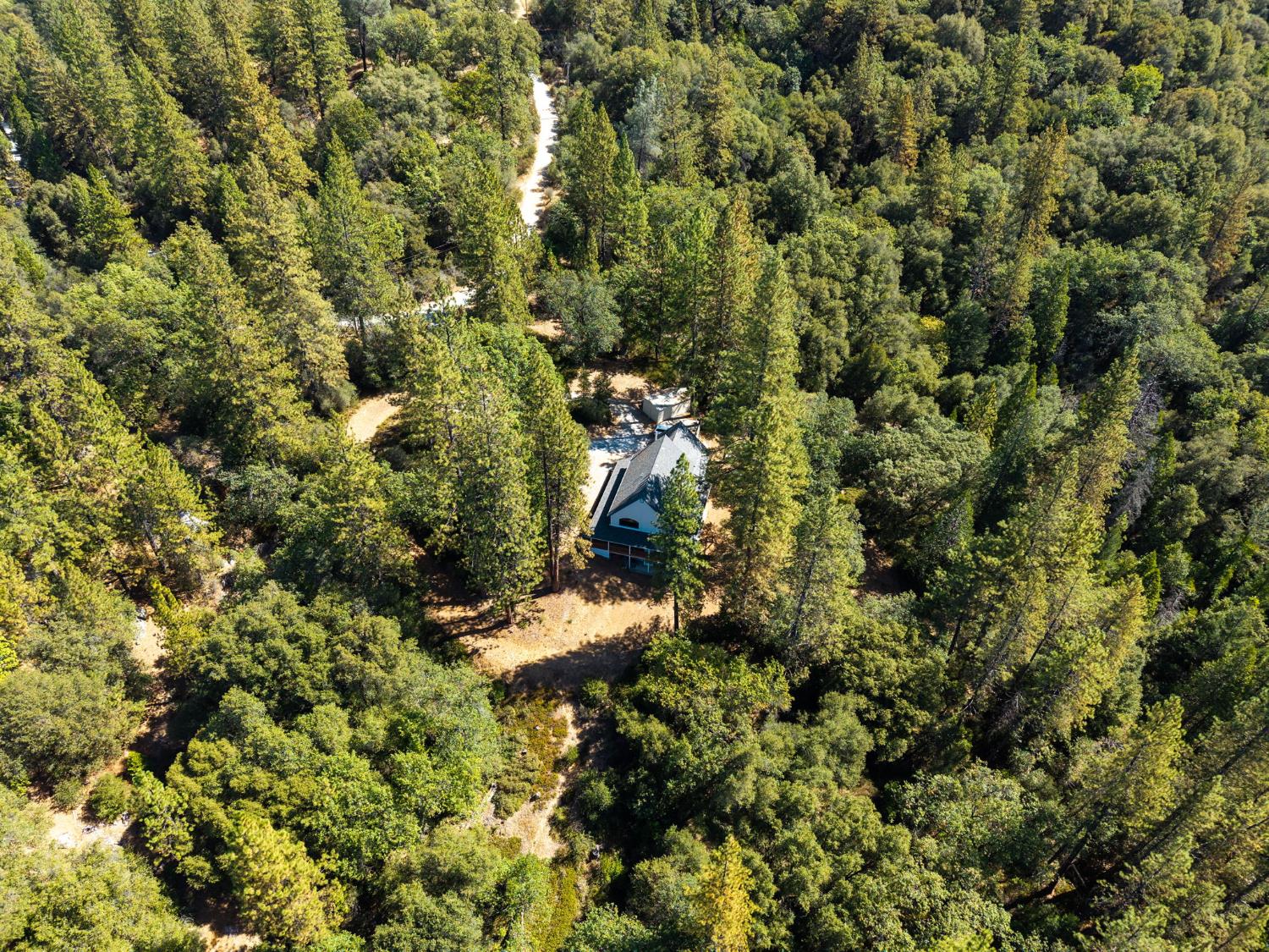 8161 Boondock Trail