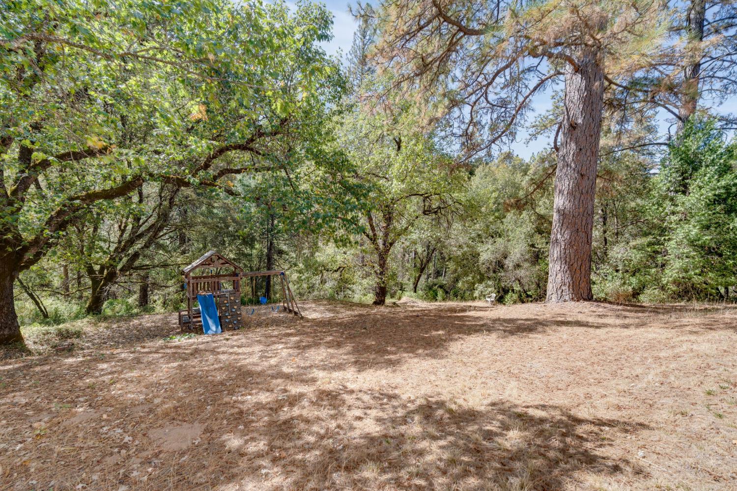 8161 Boondock Trail