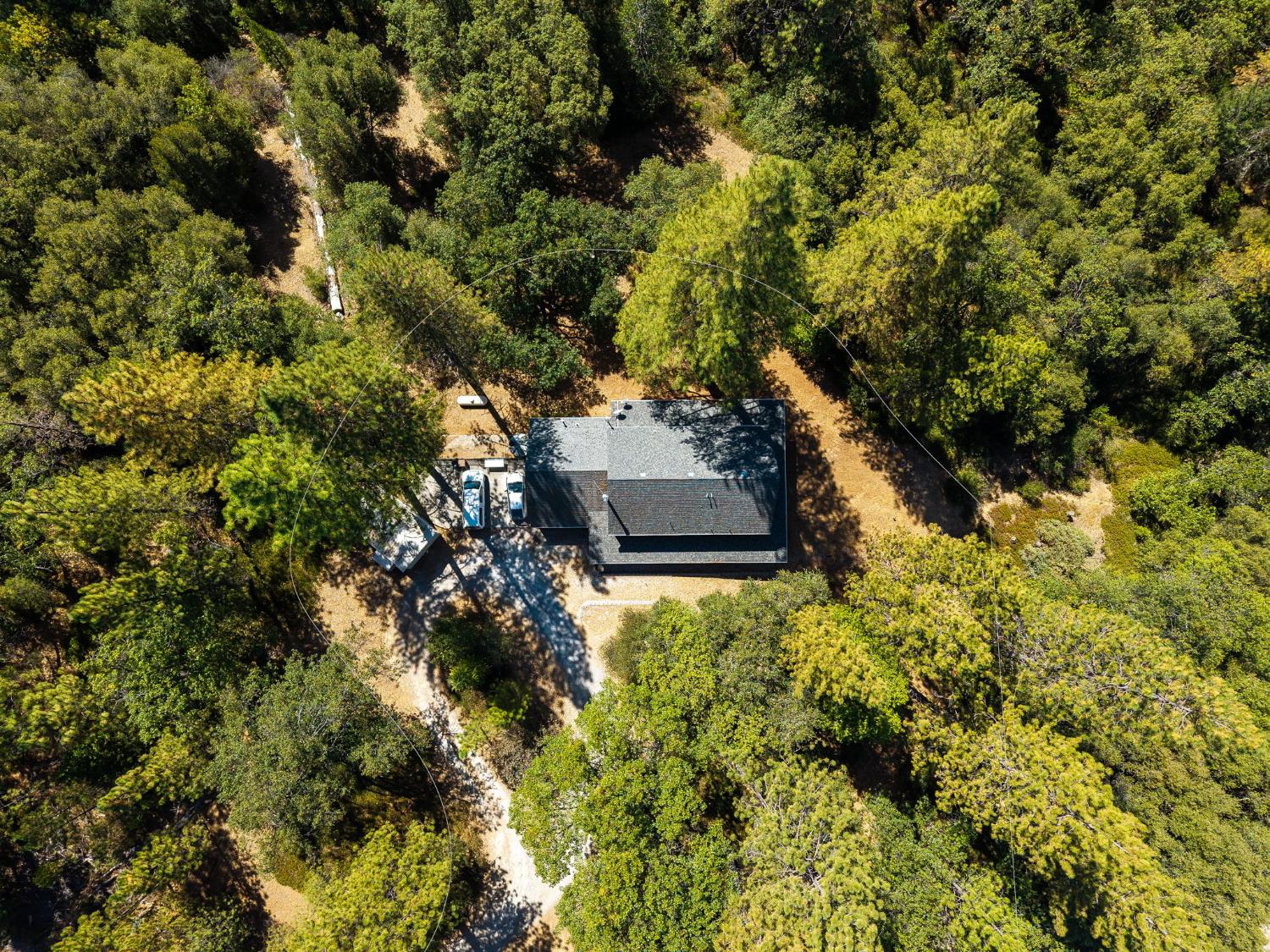 8161 Boondock Trail