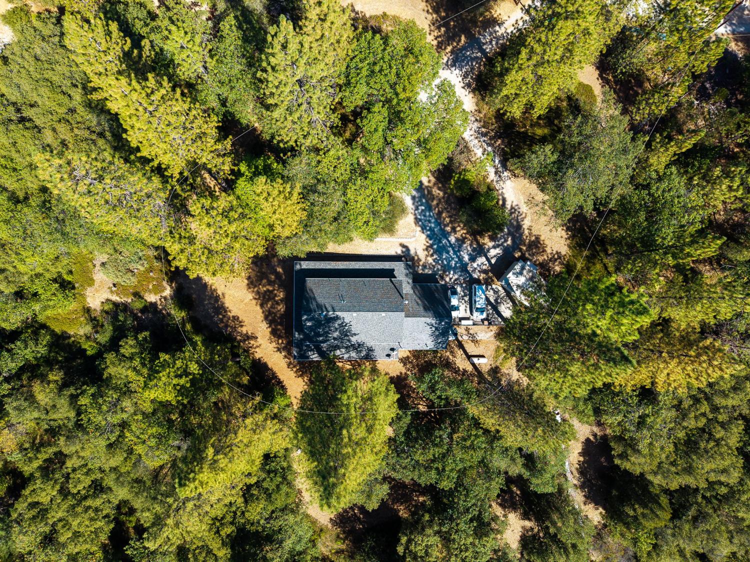 8161 Boondock Trail