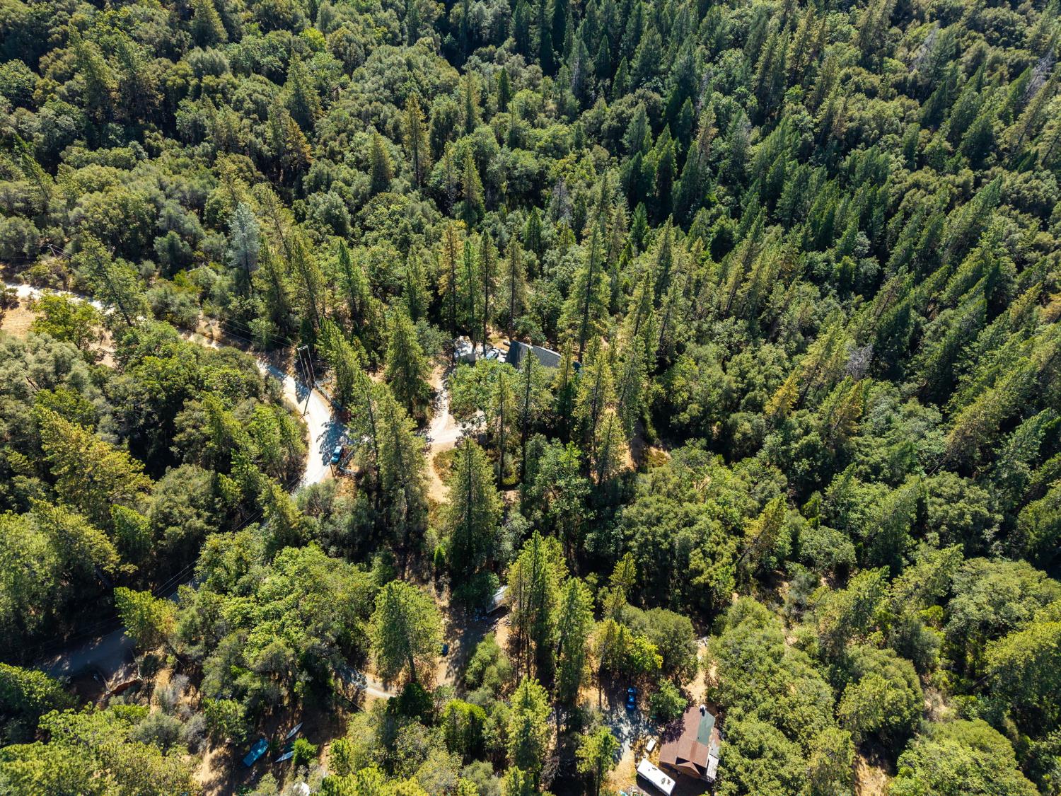 8161 Boondock Trail