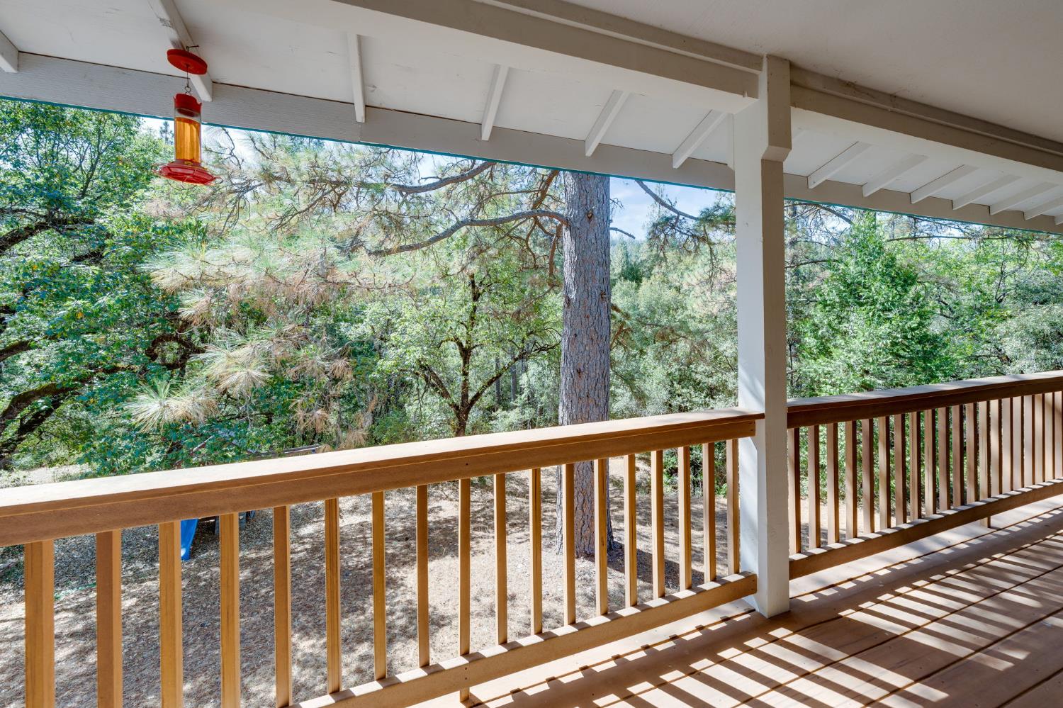 8161 Boondock Trail
