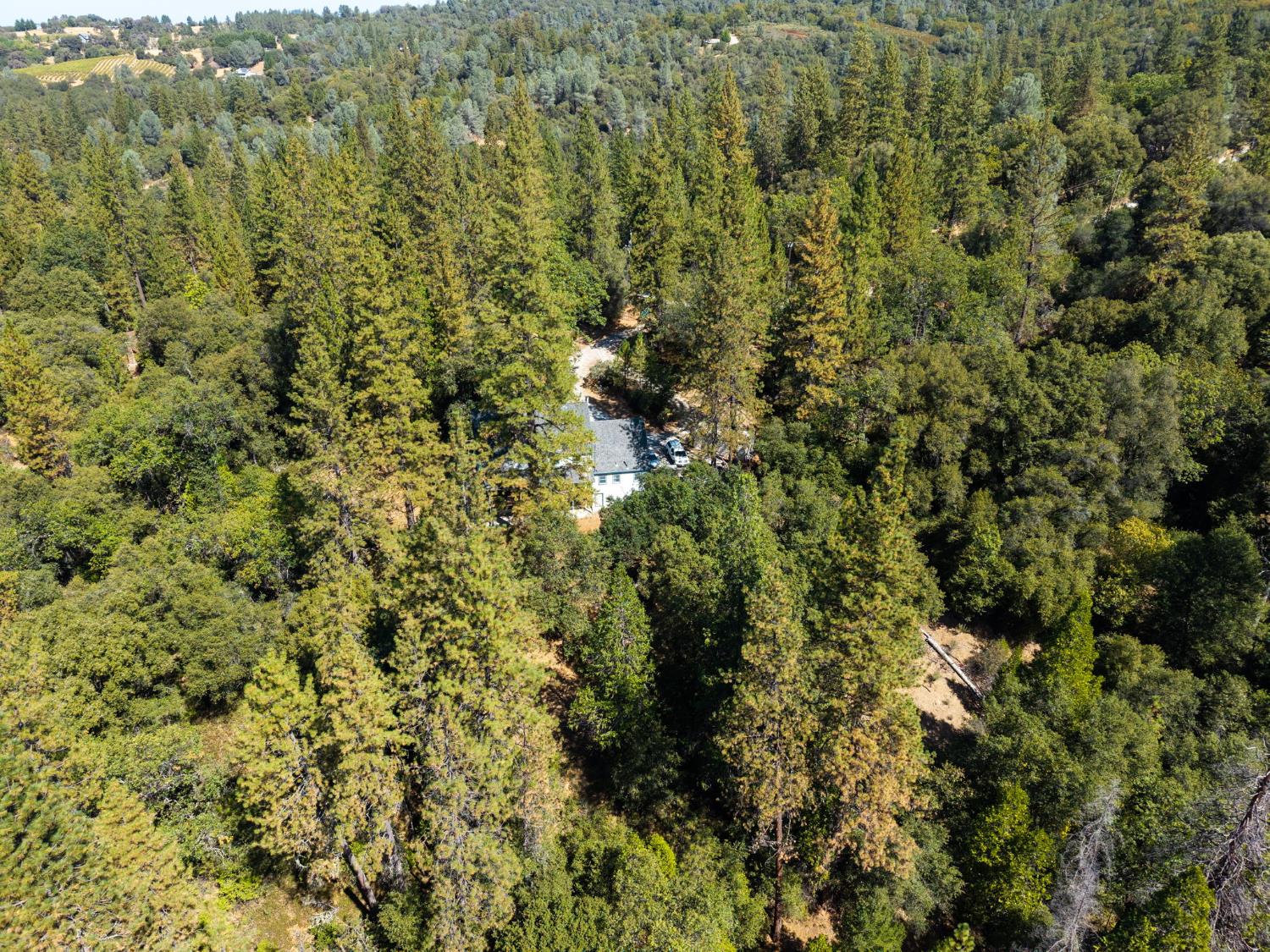 8161 Boondock Trail