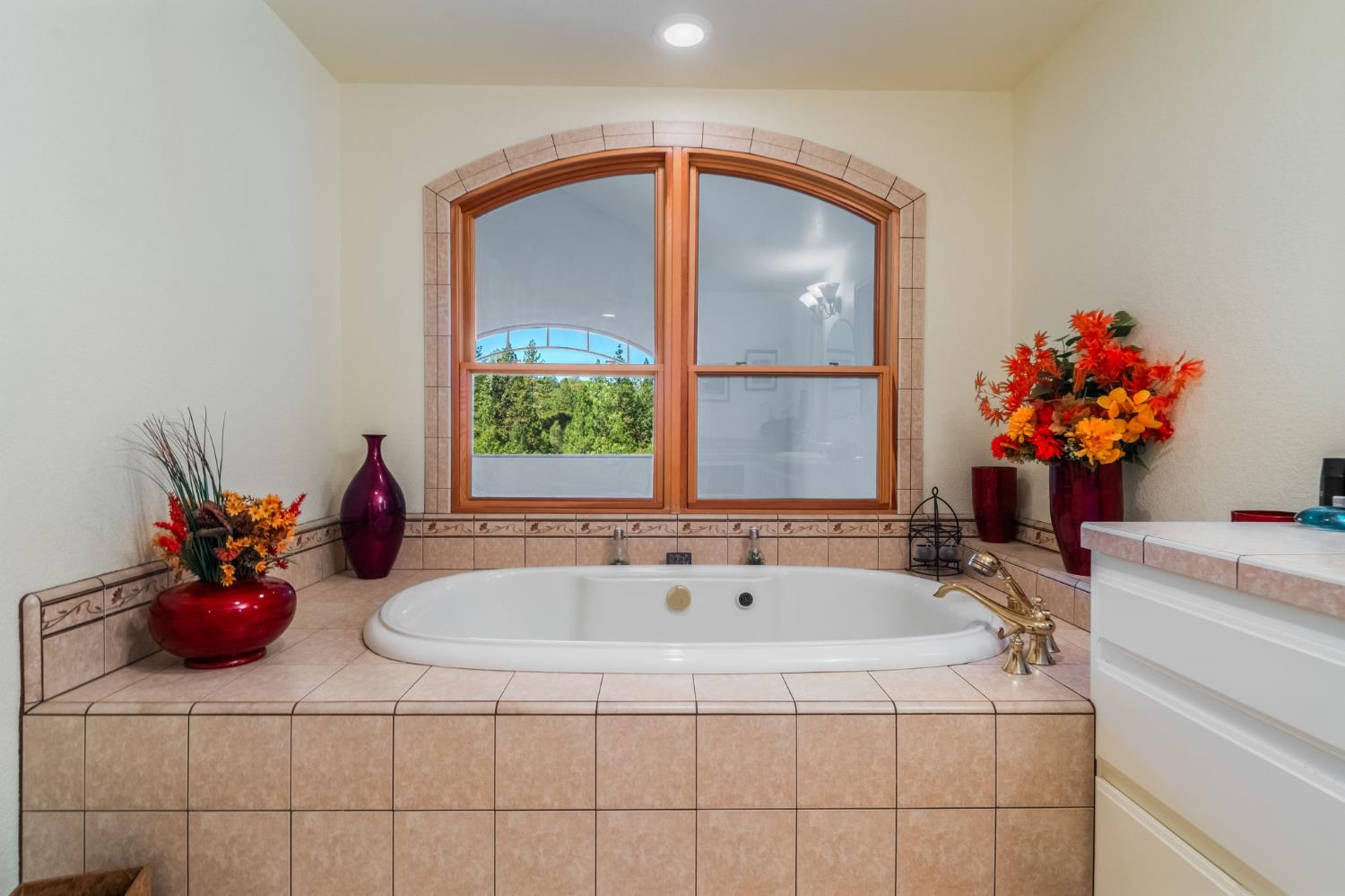 8161 Boondock Trail