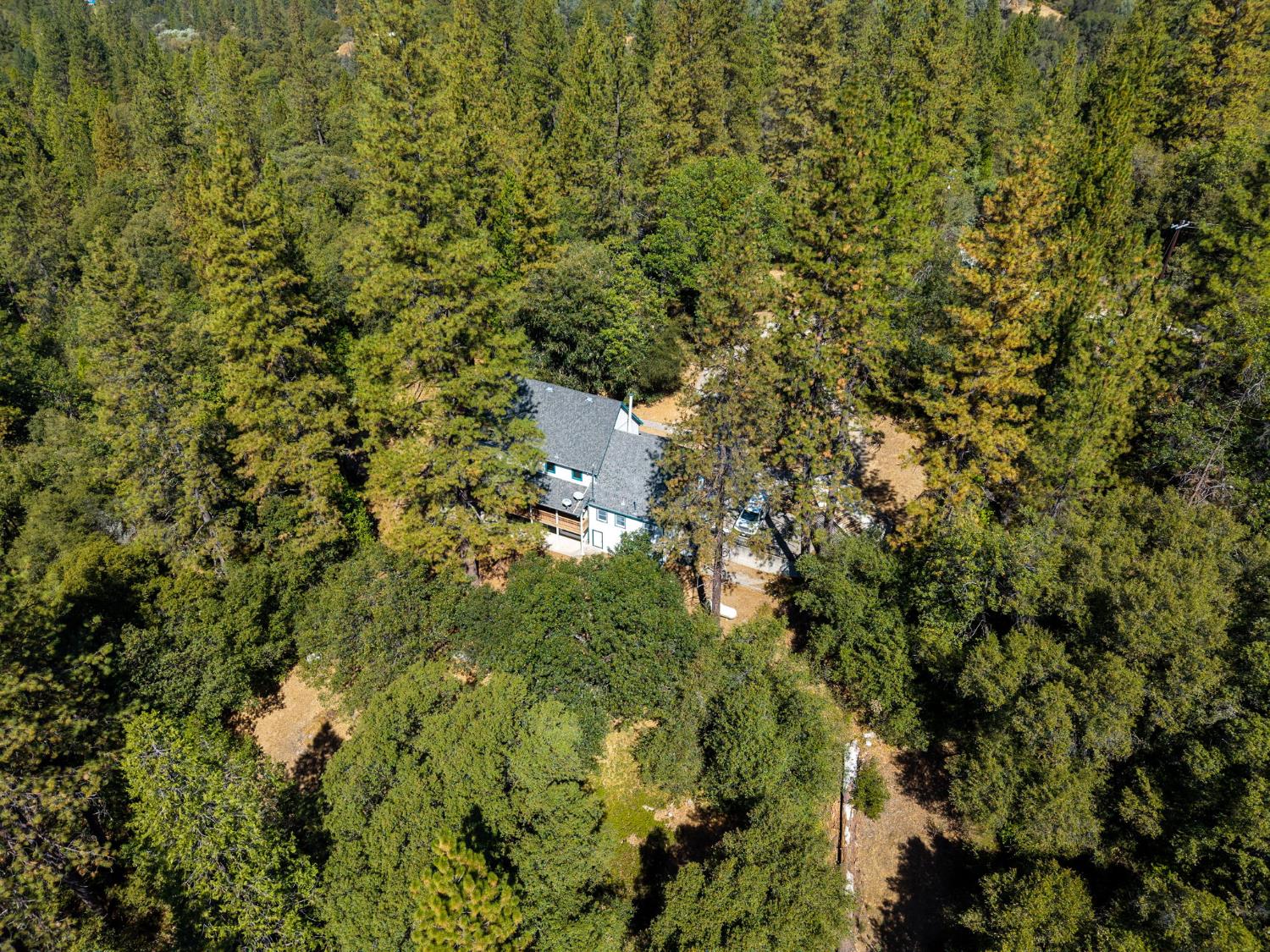 8161 Boondock Trail