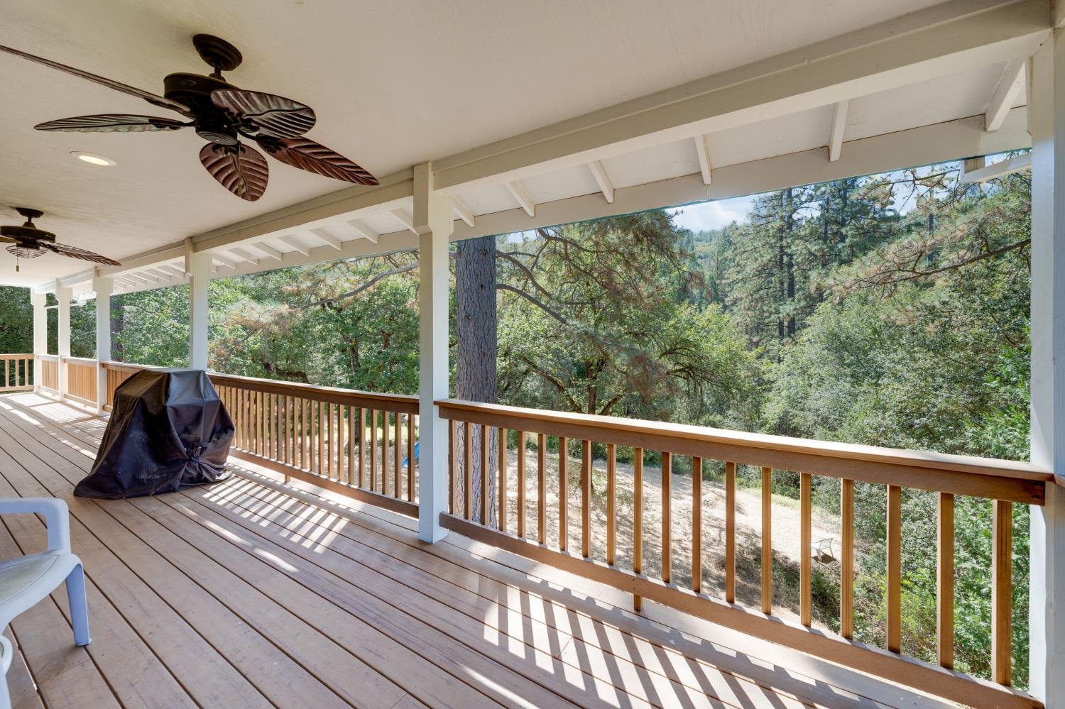 8161 Boondock Trail