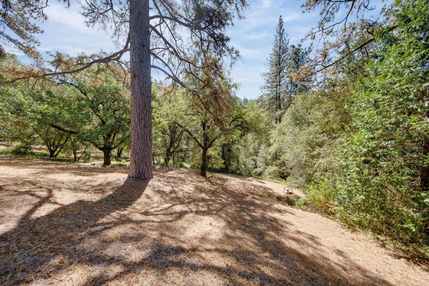 8161 Boondock Trail
