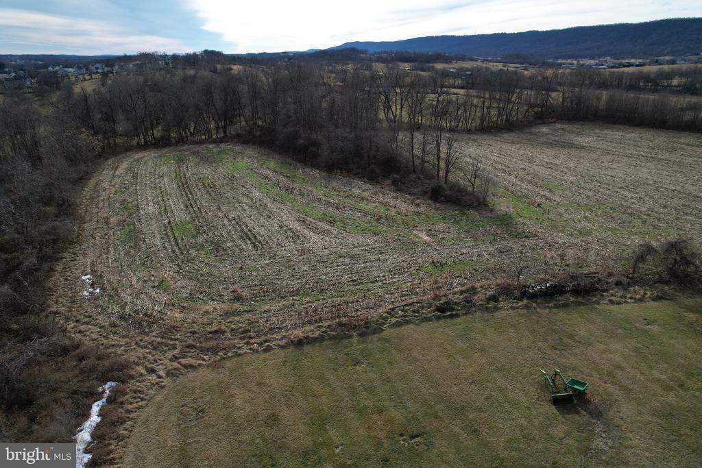 56.47 acres off Dry Run LOST ROAD