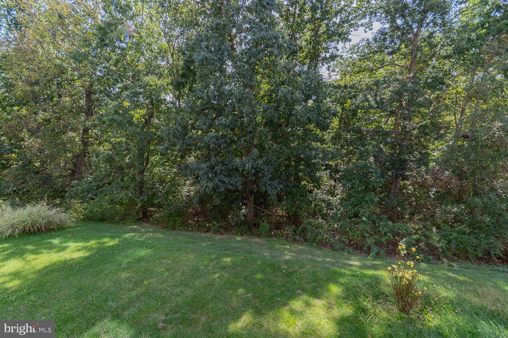 106 GAULEY RIVER PATH