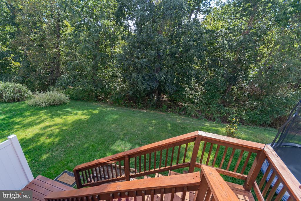 106 GAULEY RIVER PATH