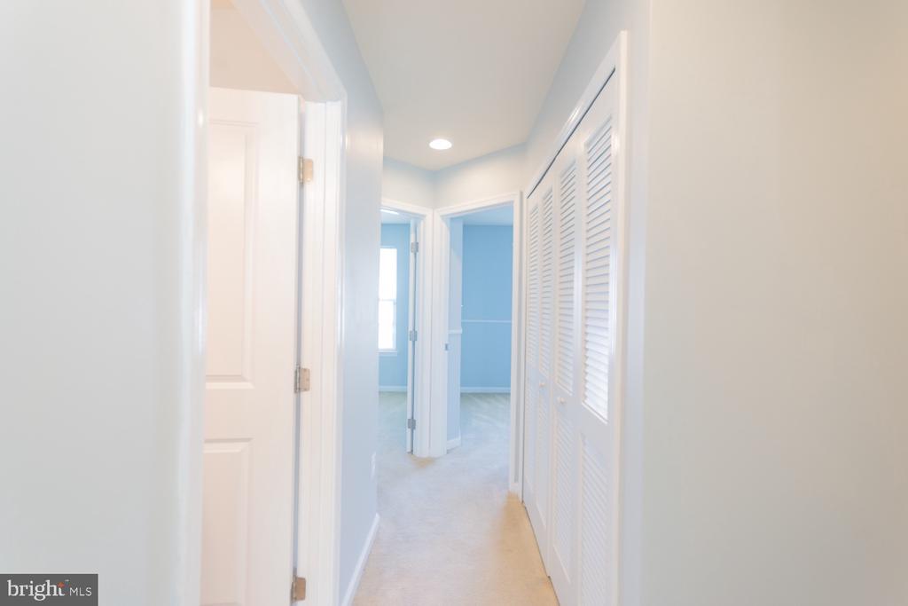 106 GAULEY RIVER PATH
