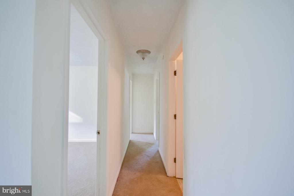 931 CEDAR