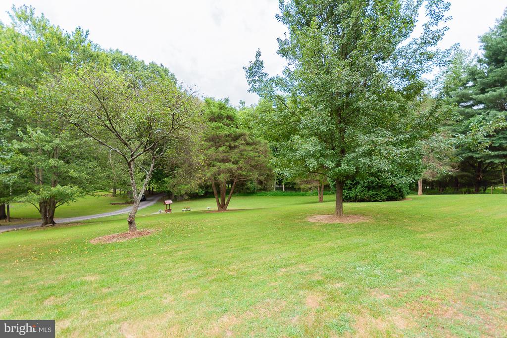 1337 CEDAR LANE