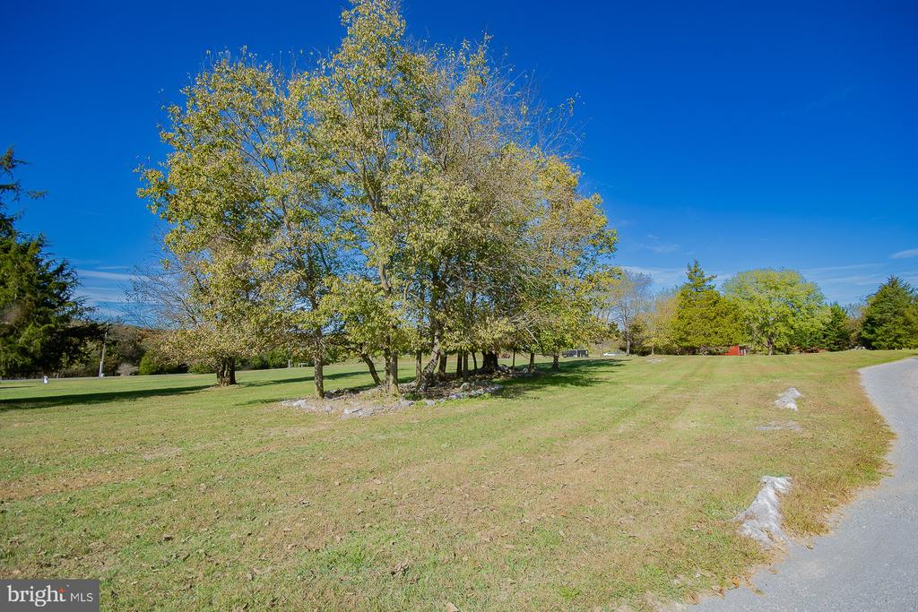 78 COLONEL MYERS DRIVE