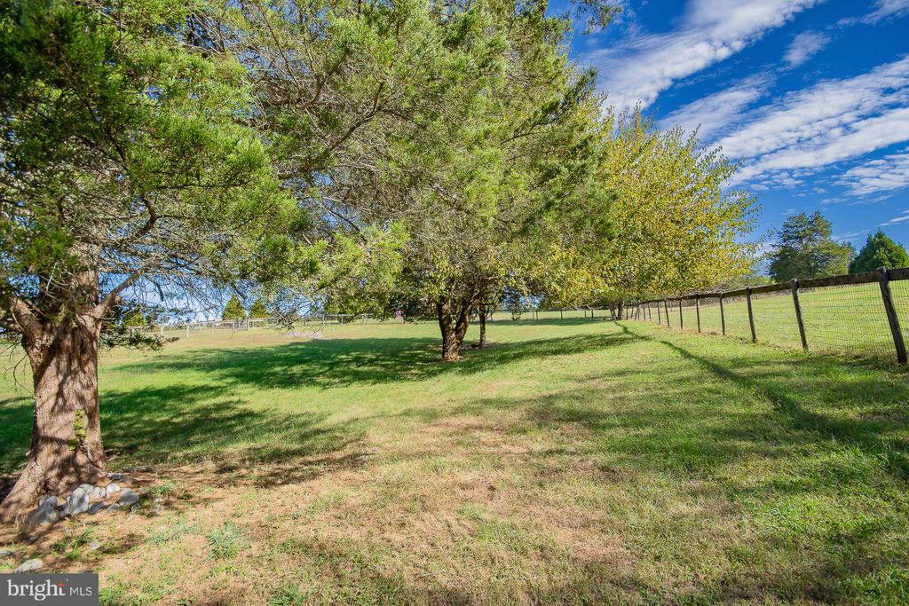 78 COLONEL MYERS DRIVE