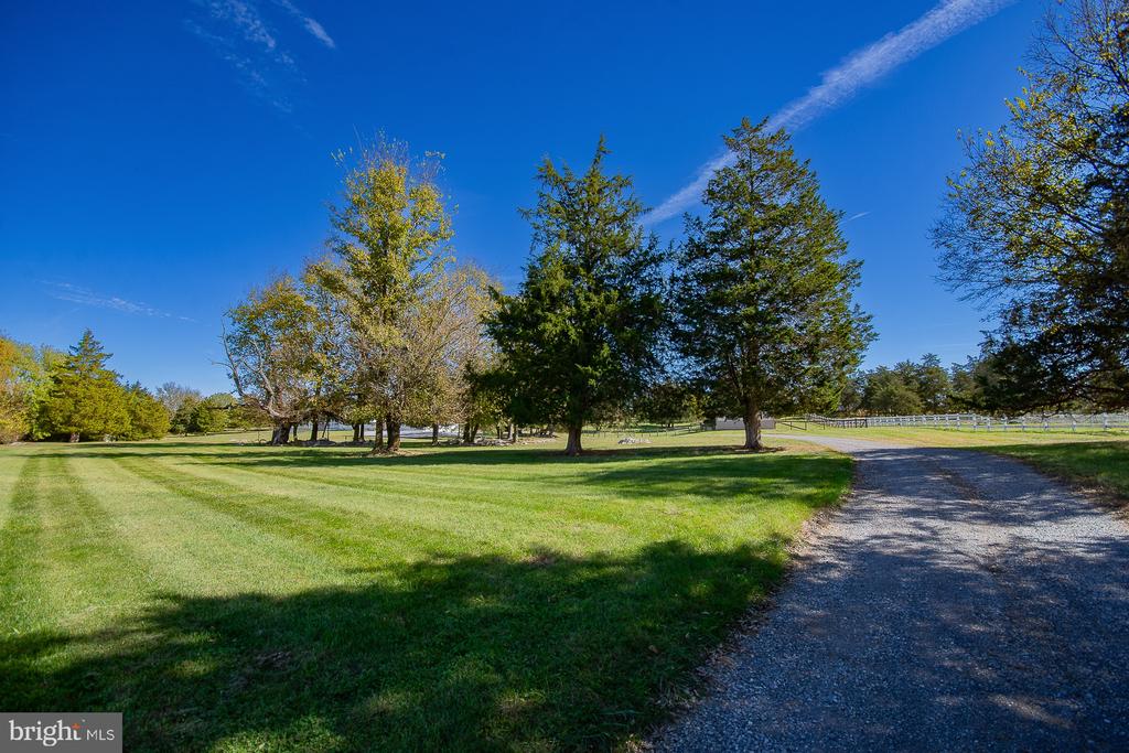 78 COLONEL MYERS DRIVE
