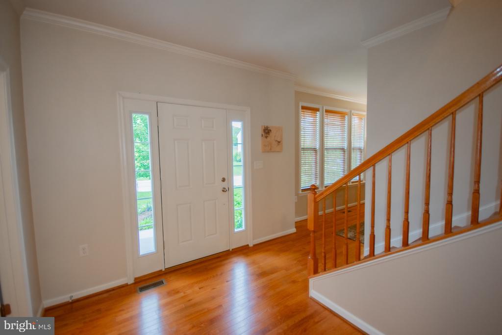 567 RIVANNA RUN