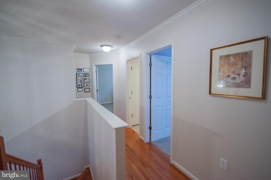 567 RIVANNA RUN