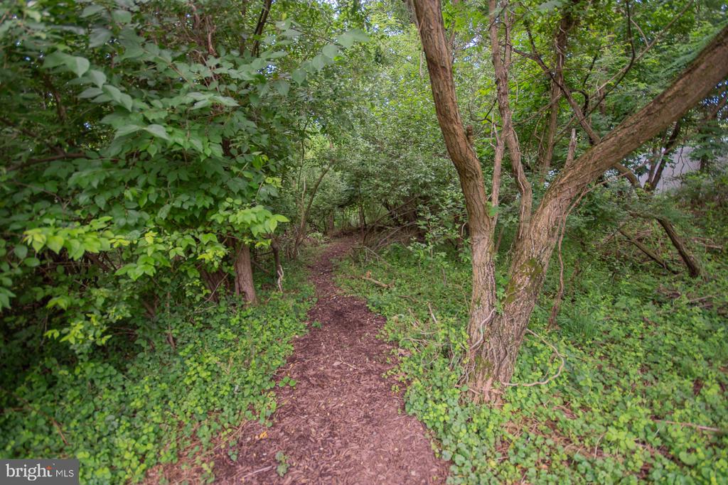 567 RIVANNA RUN