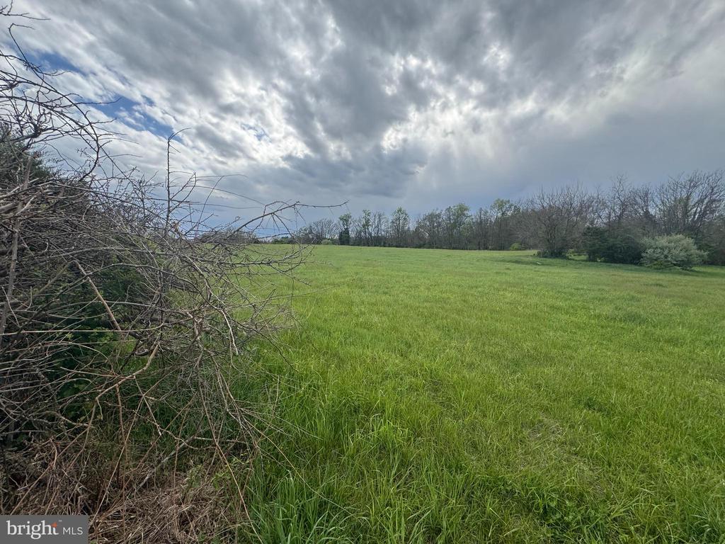 8.03 acres WHITINGS NECK ROAD