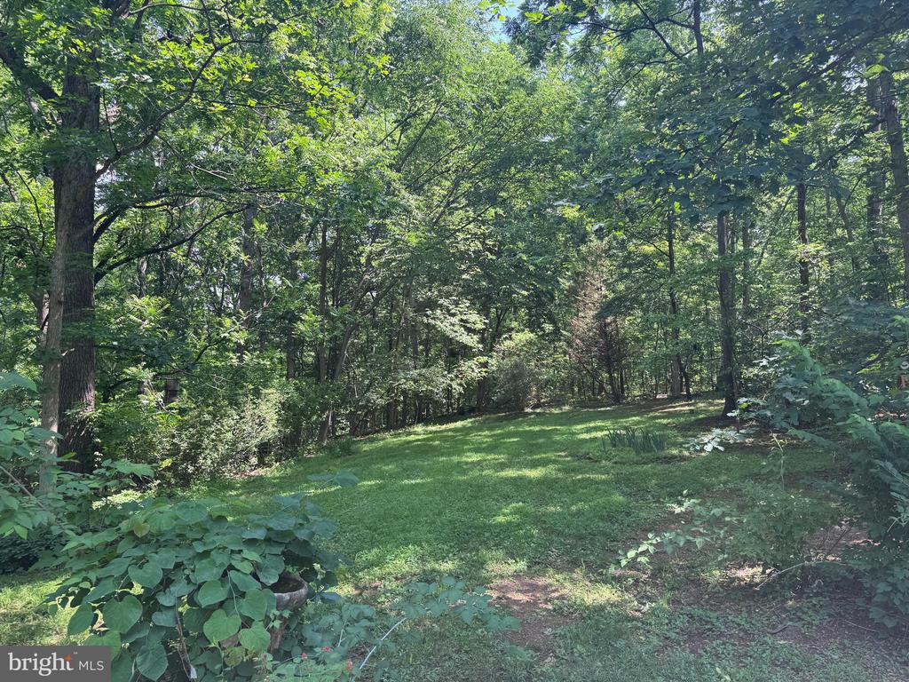 488 PLATT MOUNTAIN LANE