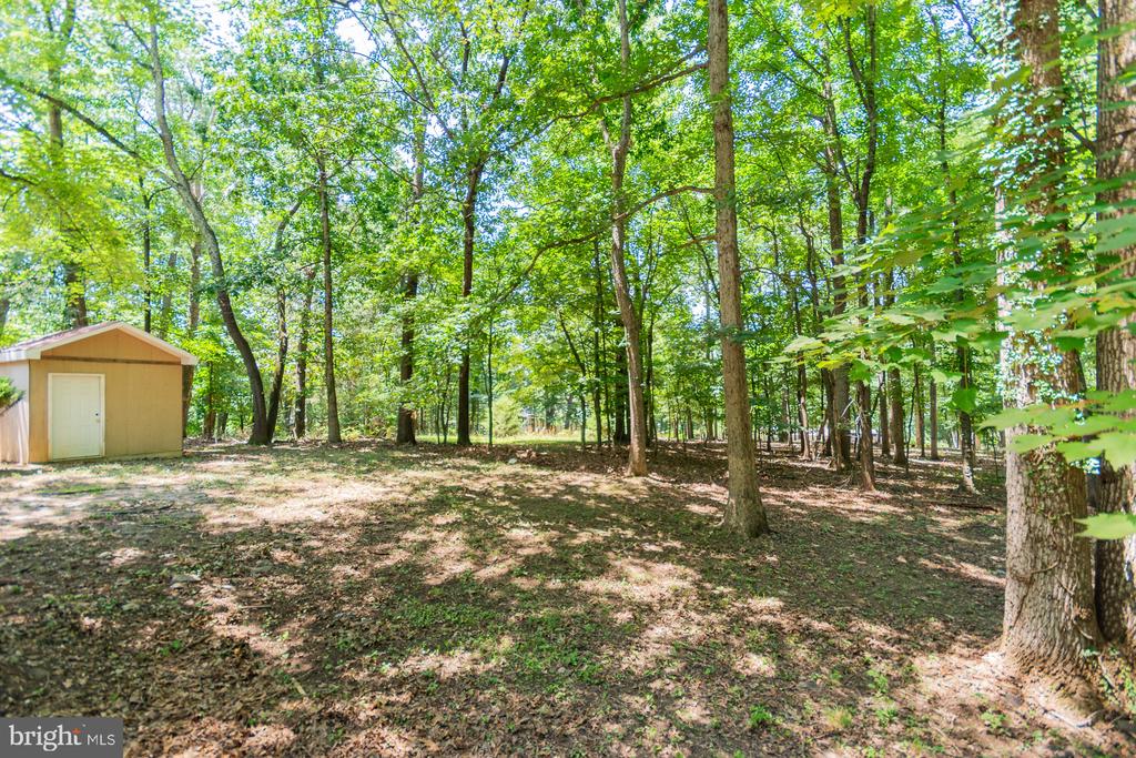 559 JOHNNYCAKE LANE