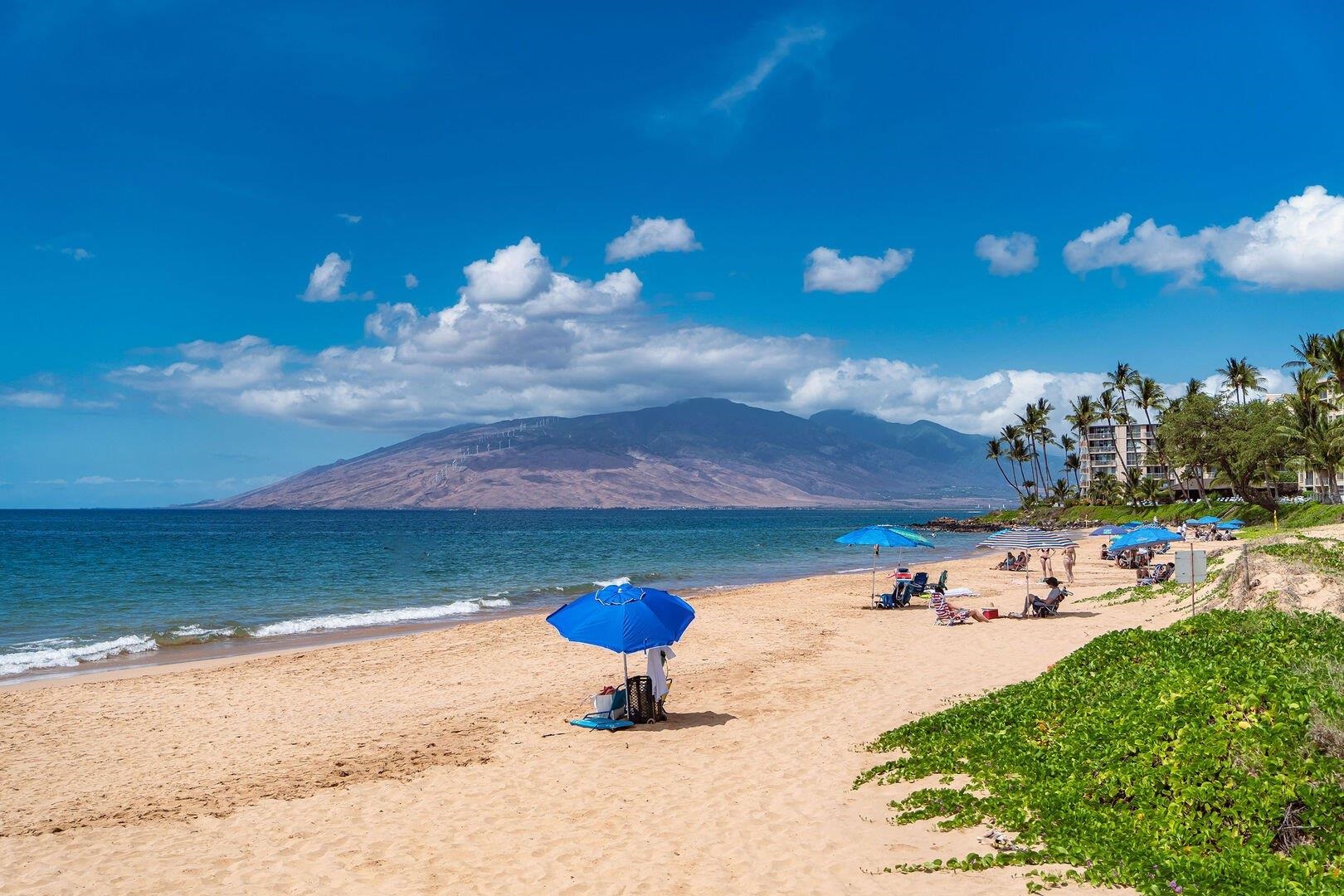 2385 S Kihei Rd Unit: 409