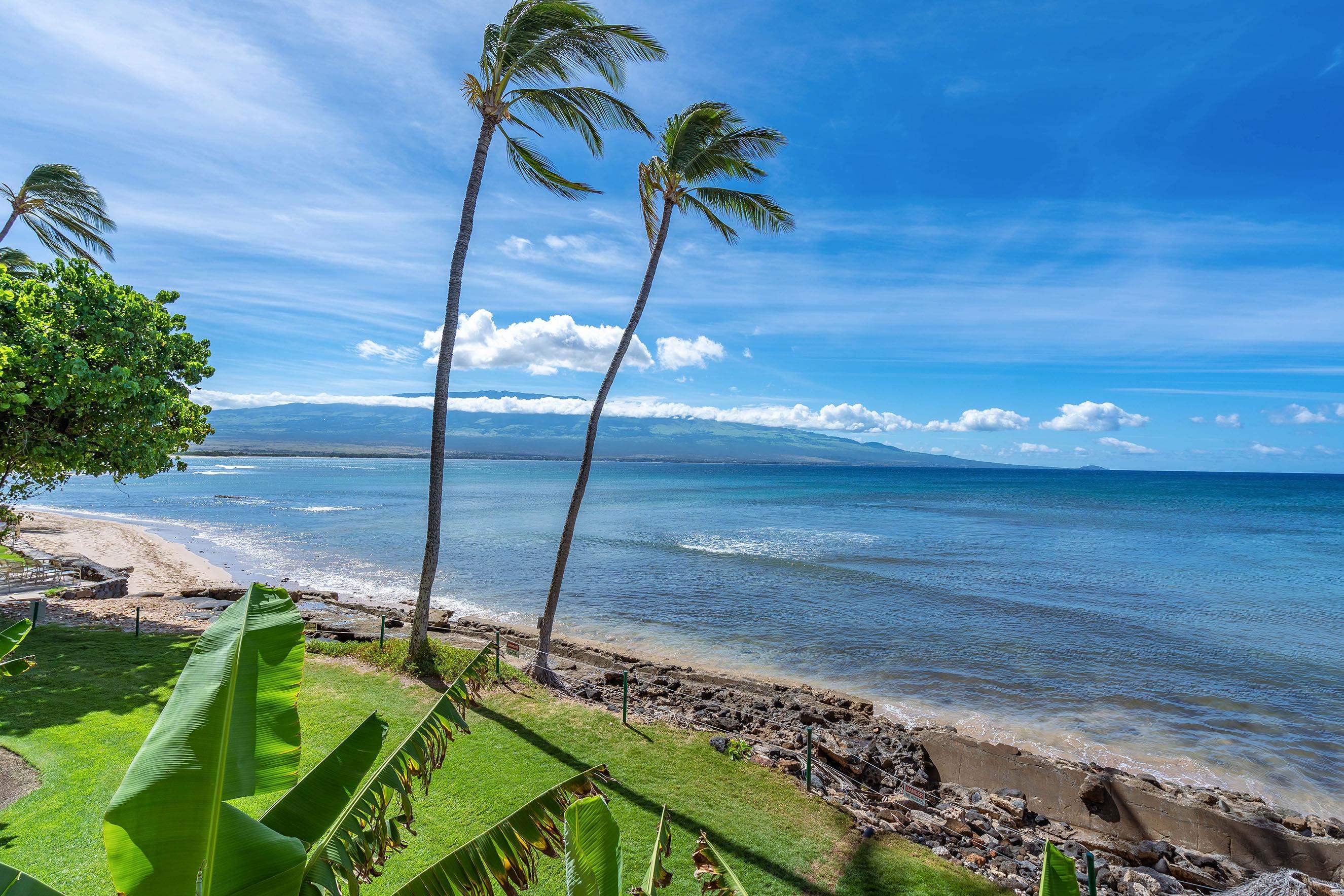 250 Hauoli St Unit: 314