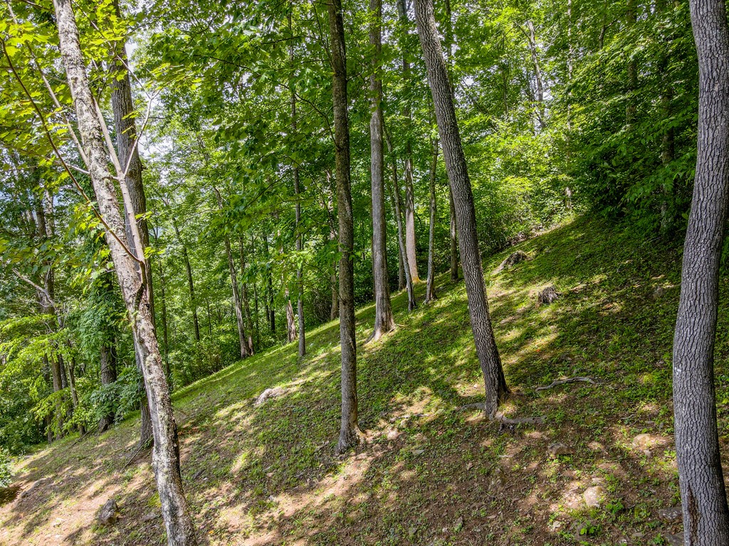 312 Whippoorwill Ln