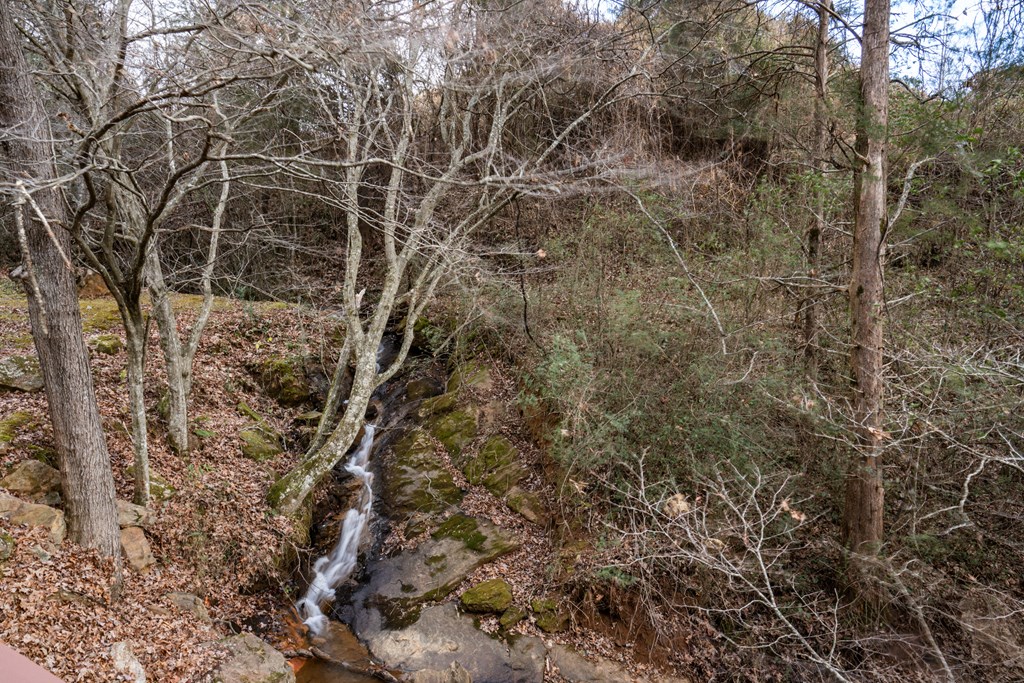 25 Willow Falls Lane