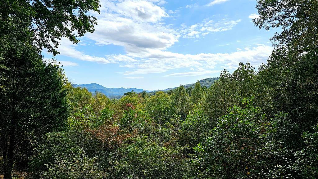 743 Rebel Ridge Road