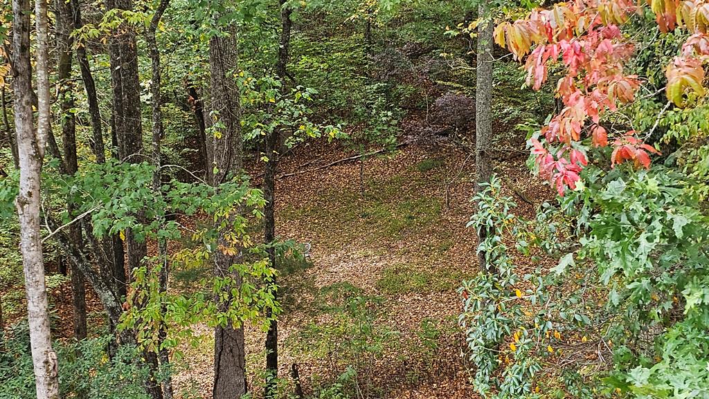 743 Rebel Ridge Road
