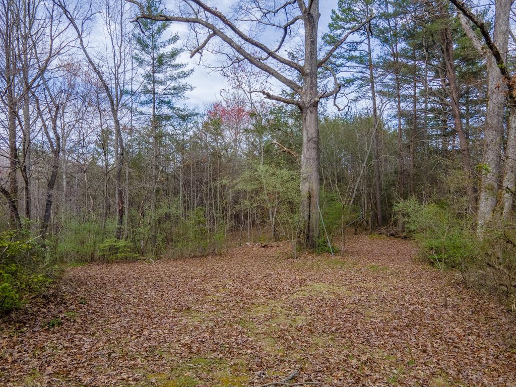 319 Chapel View Dr.