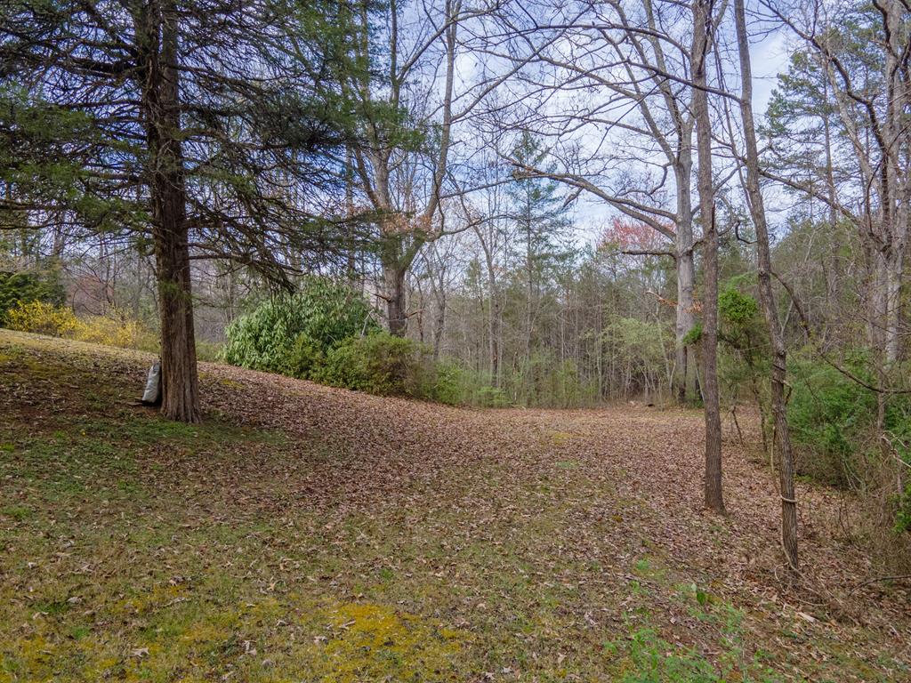 319 Chapel View Dr.