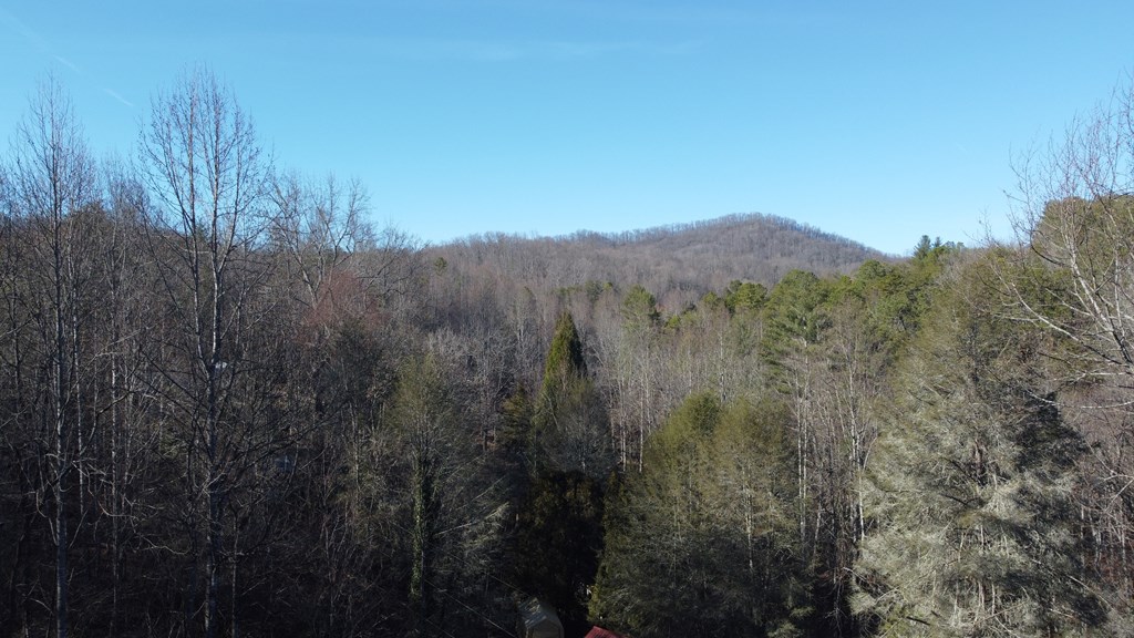 278 Hootowl Hollow Rd