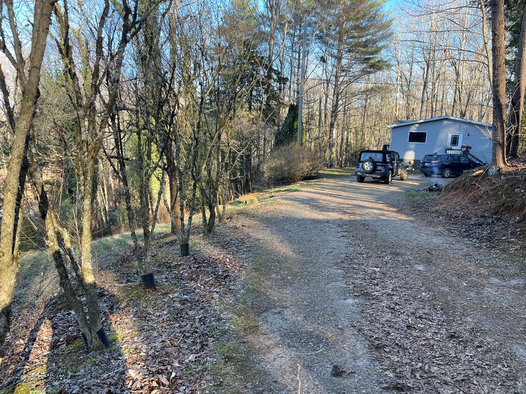 278 Hootowl Hollow Rd