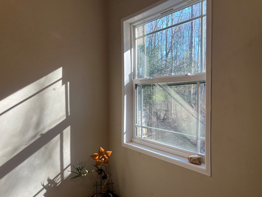 278 Hootowl Hollow Rd