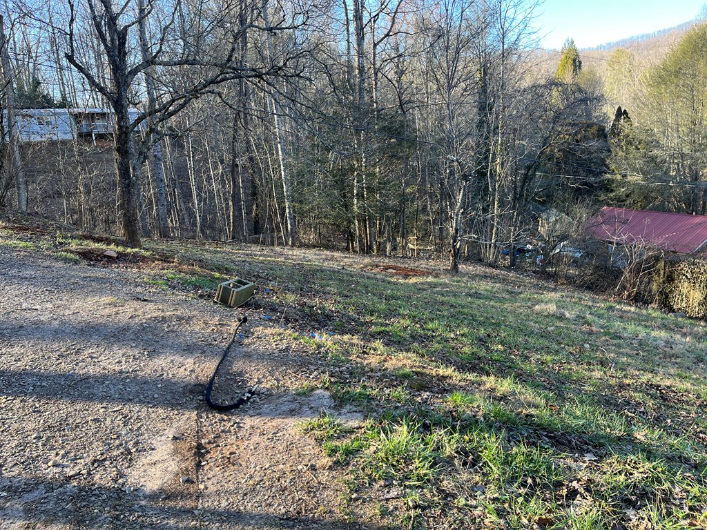 278 Hootowl Hollow Rd