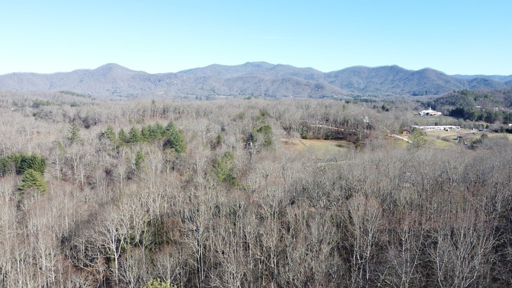 278 Hootowl Hollow Rd