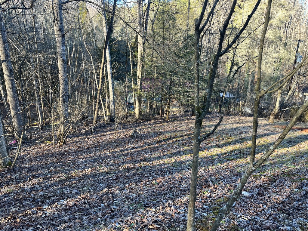 278 Hootowl Hollow Rd