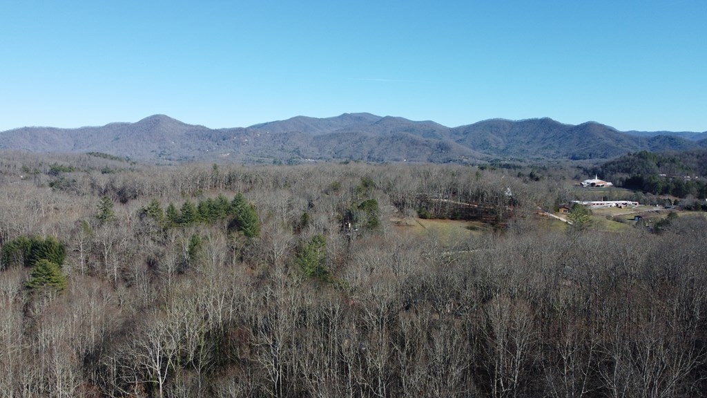 278 Hootowl Hollow Rd