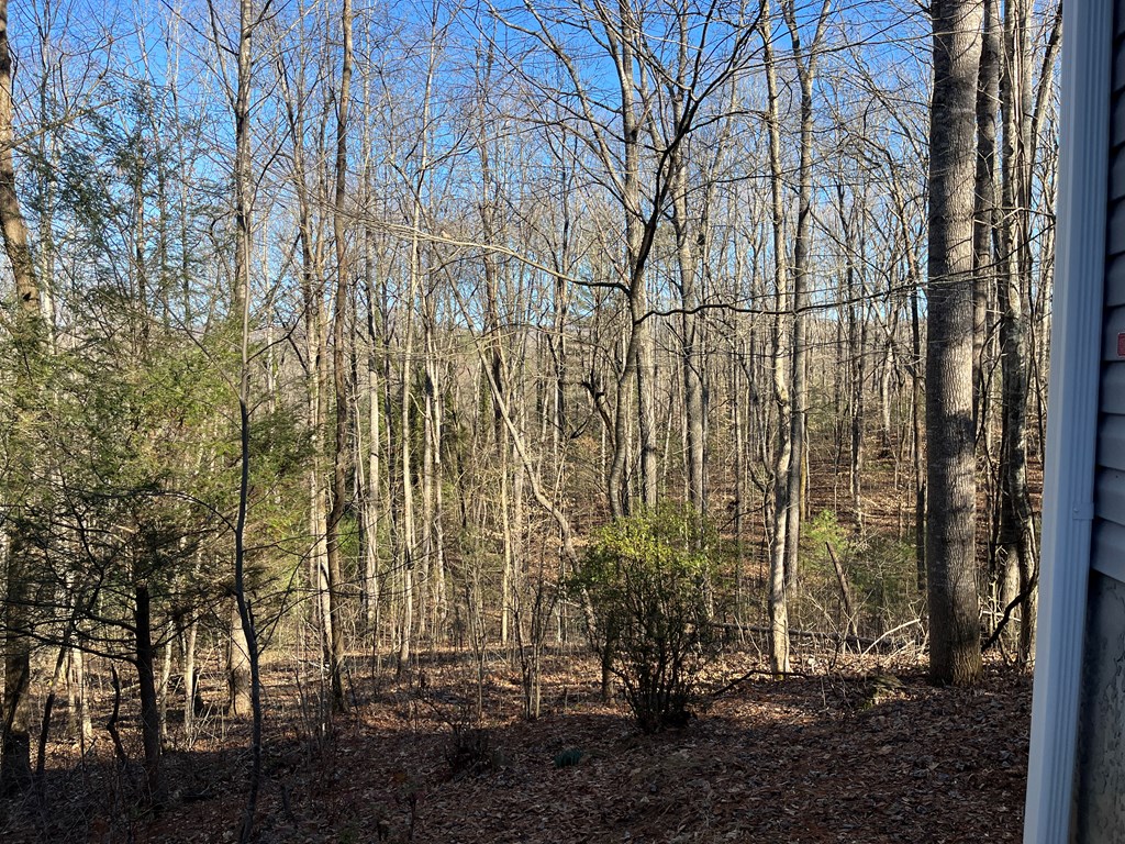 278 Hootowl Hollow Rd