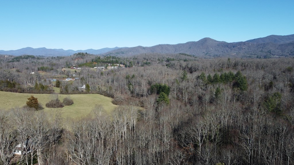 278 Hootowl Hollow Rd