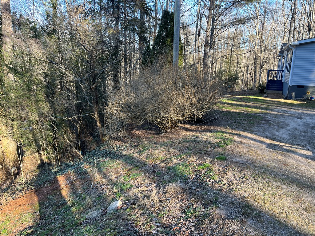 278 Hootowl Hollow Rd