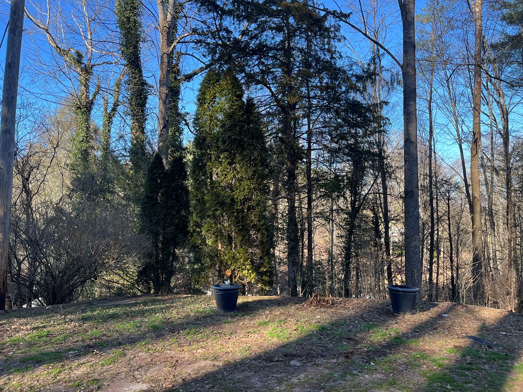 278 Hootowl Hollow Rd