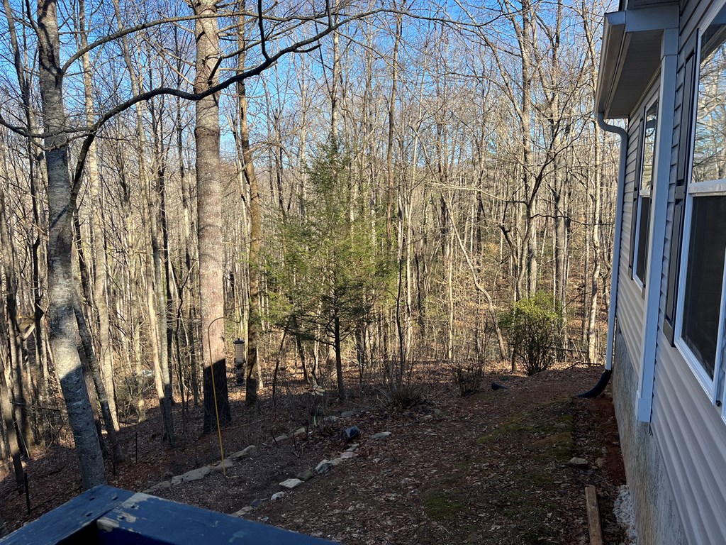 278 Hootowl Hollow Rd