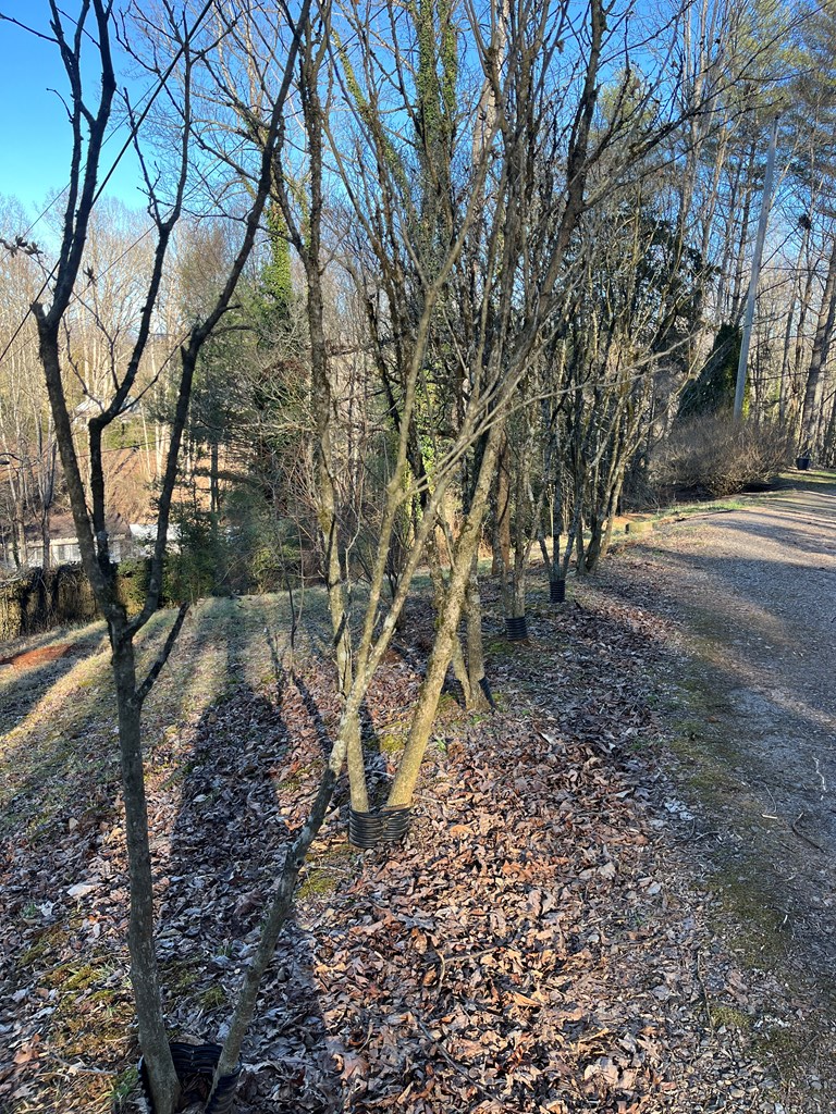 278 Hootowl Hollow Rd