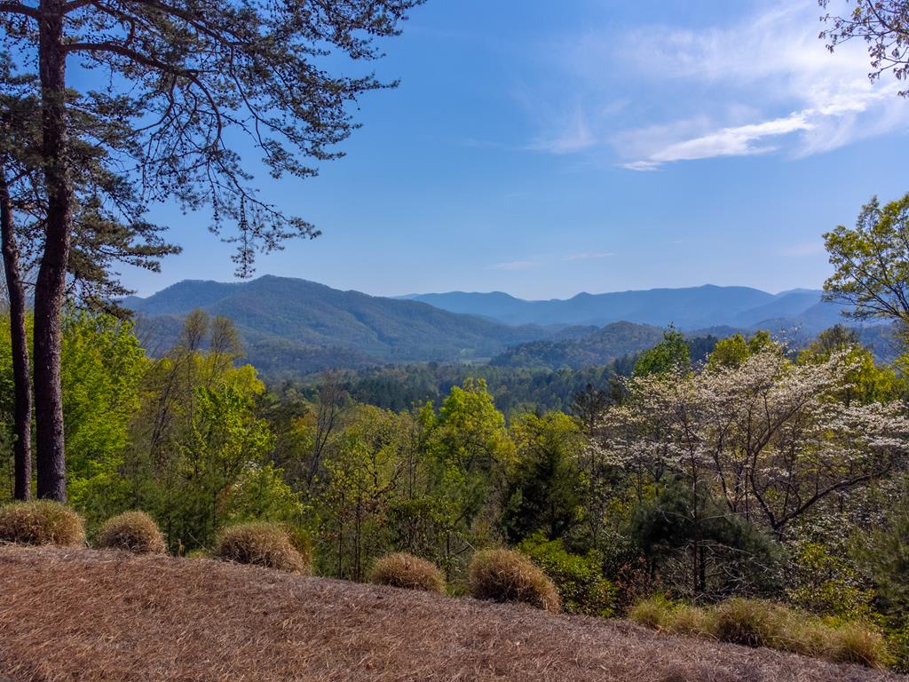 235 Maclor Forest Heights Rd