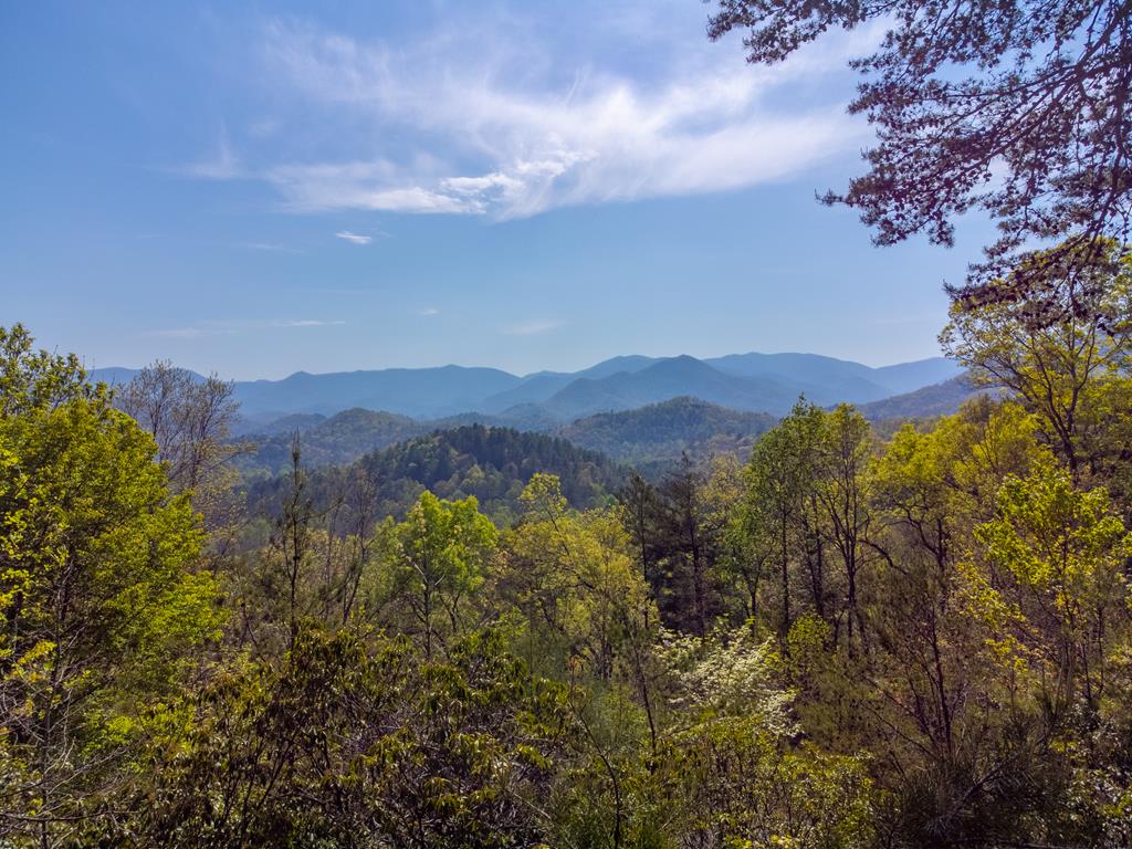 235 Maclor Forest Heights Rd